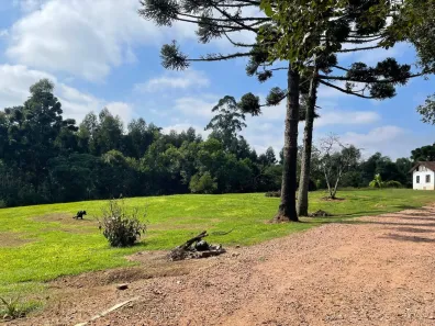 Fazenda/Sítio com 4 Quartos à venda, 190m² no Tronco, Castro
