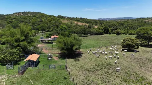 Fazenda/Sítio com 5 Quartos à venda, 90m² no , Varjão