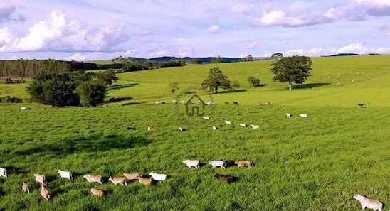 Fazenda/Sítio com 4 Quartos à venda, 350m² no Sítio Altas da Serra II, Marília