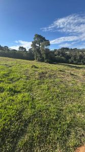 Lote/Terreno à venda, 1238m² no Planta Almirante, Almirante Tamandaré