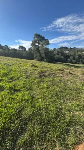 Lote/Terreno à venda, 1238m² no Planta Almirante, Almirante Tamandaré