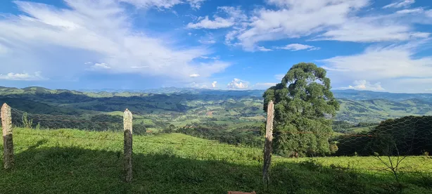 Fazenda/Sítio à venda, 10000m² no Itapeva, Itapeva