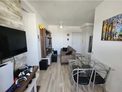 Apartamento com 3 Quartos à venda, 54m² no Vila Rio Branco, Jundiaí
