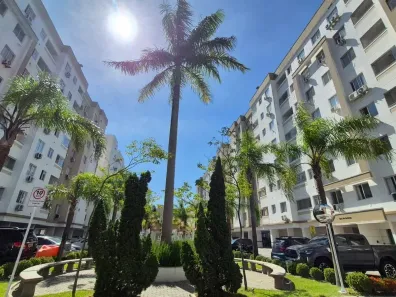 Apartamento com 2 Quartos à venda, 60m² no Fazenda Santo Antônio, São José