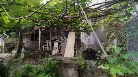 Lote/Terreno à venda, 230m² no Baeta Neves, São Bernardo do Campo