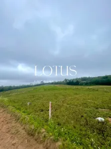 Lote/Terreno à venda, 500m² no Centro (Caucaia do Alto), Cotia