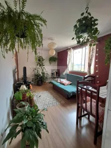 Apartamento com 2 Quartos à venda, 51m² no Jardim Alvorada, Santo André