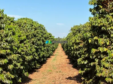 Fazenda/Sítio com 1 Quarto à venda, 118m² no , Bambuí
