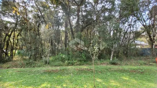 Lote/Terreno à venda, 734m² no , Canela
