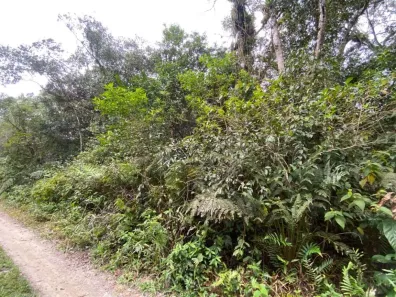 Lote/Terreno à venda, 1950m² no Jardim Coronel, Itanhaém