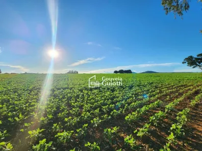Fazenda/Sítio à venda, 629200m² no Dois Irmãos, Vila Propício