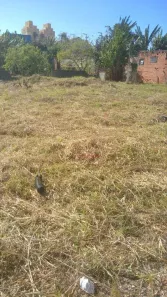 Lote/Terreno para alugar, 4170m² no Jardim Jamaica, Santo André