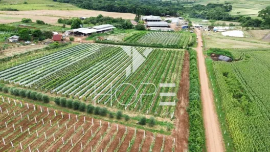 Fazenda/Sítio com 1 Quarto à venda, 1282600m² no Centro, Guarapuava