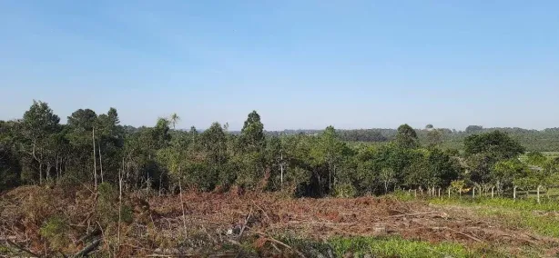 Fazenda/Sítio à venda, 59000m² no Fiuza, Viamão