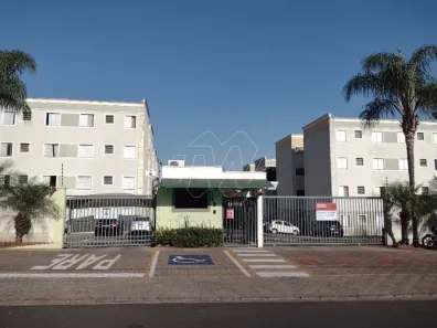Apartamento com 2 Quartos à venda, 44m² no Jardim Califórnia, Araraquara