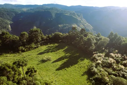 Fazenda/Sítio à venda, 20000m² no Urubici, Urubici
