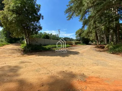 Fazenda/Sítio com 2 Quartos à venda, 3845m² no Colônia Dona Luíza, Ponta Grossa