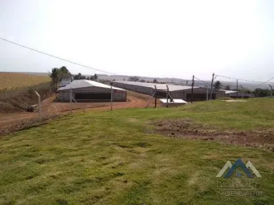 Fazenda/Sítio com 2 Quartos à venda, 151m² no Rural, Alvorada do Sul