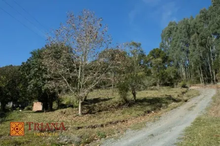 Lote/Terreno à venda, 70000m² no , Rio Rufino