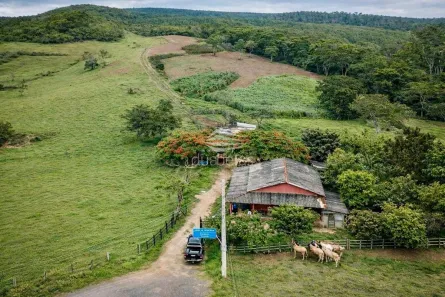 Fazenda/Sítio com 2 Quartos à venda, 339000m² no Caçapava Velha, Caçapava