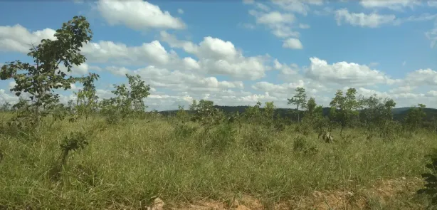 Lote/Terreno à venda, 20000m² no , Cordisburgo