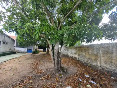 Galpão/Depósito/Armazém com 1 Quarto à venda, 200m² no Benedito Bentes, Maceió
