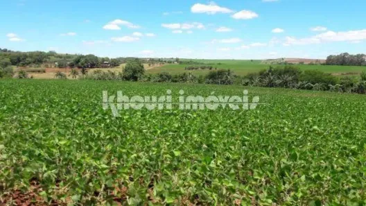 com 5 Quartos à venda, 5m² no Jardim Europa, Sarandi
