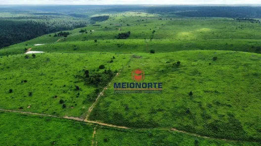 Fazenda/Sítio com 4 Quartos à venda, 4800000m² no Terra Bela, Buriticupu