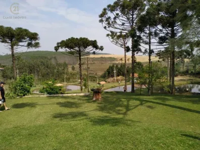 com 3 Quartos à venda, 169400m² no Terra Nova, São Jerônimo da Serra