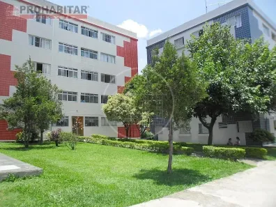 Apartamento com 2 Quartos para alugar, 55m² no Vila São José (Cidade Dutra), São Paulo
