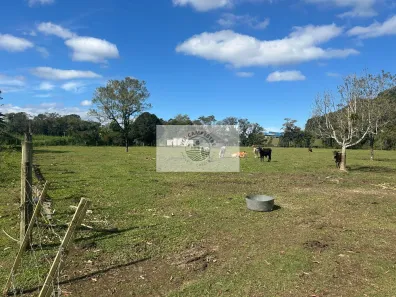 Fazenda/Sítio com 1 Quarto à venda, 15000m² no Jardim Paraíso, Joinville