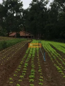 Fazenda/Sítio com 8 Quartos para alugar, 450m² no Ipelândia, Suzano