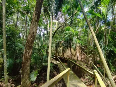 Lote/Terreno à venda, 450m² no Campeche, Florianópolis