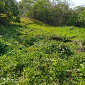 Lote/Terreno à venda, 1404m² no Jardim Nova Cotia, Itapevi