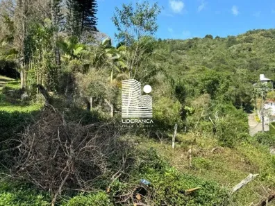 Lote/Terreno à venda, 49846m² no Itacorubi, Florianópolis