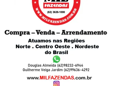 Fazenda/Sítio à venda, 500m² no , Arraias
