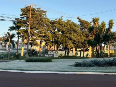 Lote/Terreno com 1 Quarto à venda, 316m² no Esperança, Londrina
