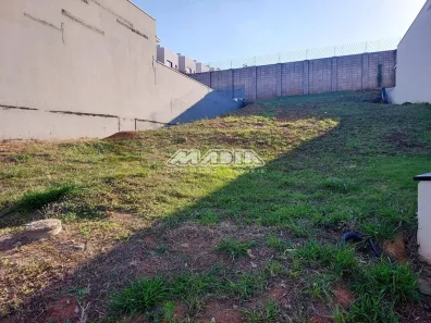 Lote/Terreno à venda, 303m² no Lenheiro, Valinhos