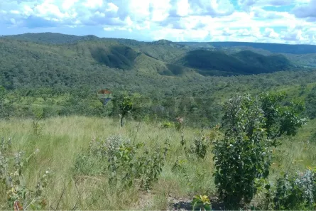 Fazenda/Sítio à venda, 1800000m² no Guará I, Brasília