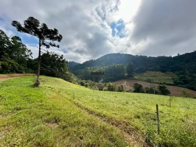Lote/Terreno à venda, 250000m² no , Cotiporã