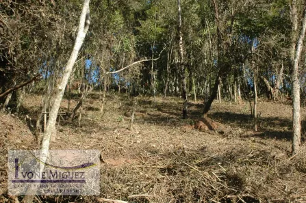 Lote/Terreno à venda, 1697m² no Retiro das Palmeiras, Miguel Pereira