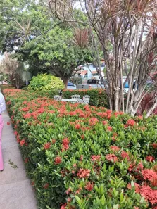 Apartamento com 2 Quartos à venda, 111m² no Caminho das Árvores, Salvador