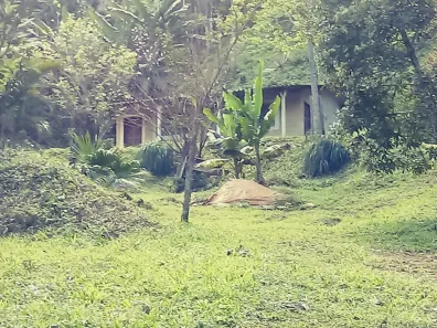 Fazenda/Sítio com 2 Quartos à venda, 10m² no Campinas, Pindamonhangaba