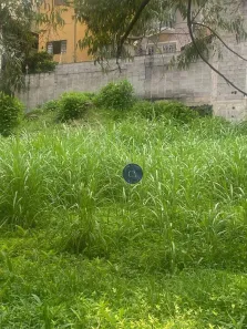 Lote/Terreno à venda, 250m² no Paraíso do Morumbi, São Paulo