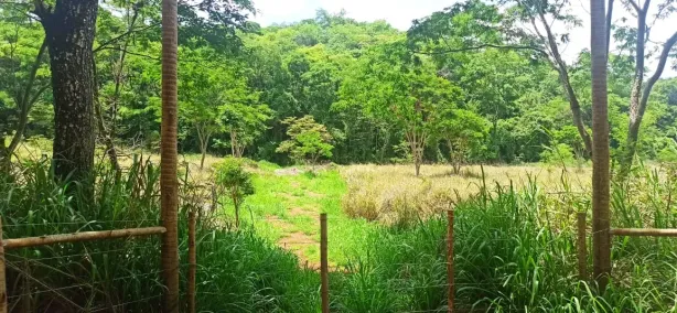 Lote/Terreno à venda, 20000m² no , Matozinhos