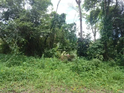 Lote/Terreno à venda, 1973m² no Represa, Ribeirão Pires