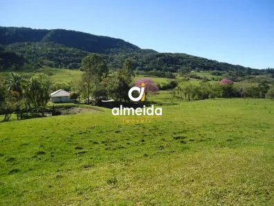 Fazenda/Sítio com 3 Quartos à venda, 60000m² no , Restinga Sêca