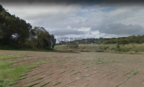 Imóvel Comercial à venda, 424105m² no Campo Largo da Roseira, São José dos Pinhais