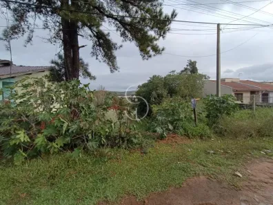 Lote/Terreno à venda, 360m² no Campestre, São Leopoldo