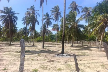 Lote/Terreno à venda, 300m² no , Trairi